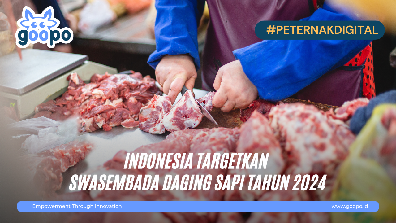 Indonesia Targetkan Swasembada Daging Sapi Tahun 2024