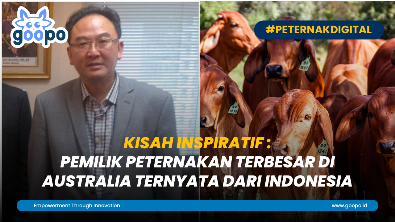 Kisah Inspiratif - Pemilik Peternakan Terbesar Di Australia Ternyata dari Indonesia